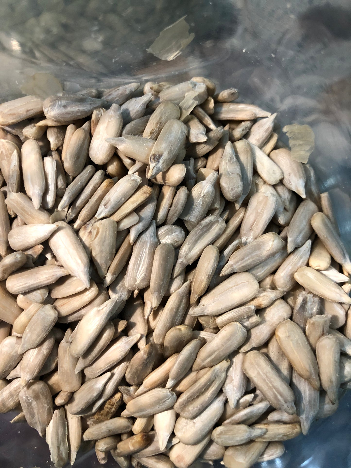 SUN FLOWER SEED-(سورج مکھی کے بیج) |Without Shell | IMPORTED | 100% Organic | BEST QUALITY IN PAKISTAN